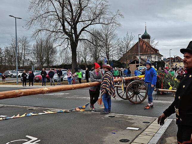Bild 2: Der Narrenbaum in Kluftern steht