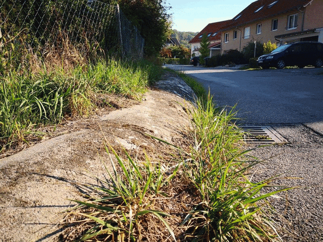Die frühere Verdolung des Mühlbachs in der östlichen Möggenweilerstraße ist unter der Erde verlegt. Links ein gepflasterter Fußweg.