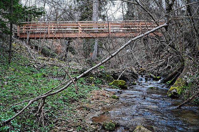 Die Brücke wurde mit Eichen- und Douglasienholz erneuert, das keine chemischen Anstriche braucht.
