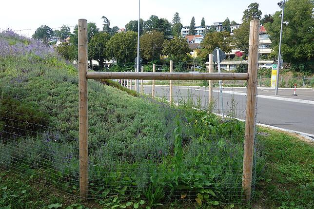 So werden alle Zäune aussehen, die das Gelände der Landesgartenschau einfassen.