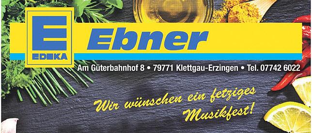 Bild 7: Musik im Park - Erzingen: Musikalisches Sommerfest