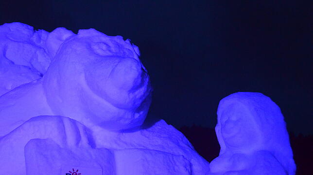 Mit dem dritten Schneeskulpturenfestival hat die Gemeinde Bernau eine junge Erfolgsgeschichte fortgeschrieben. Es müsse aber in ...
