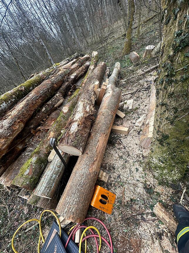 An einem Holzpolter ist der Baumstamm abgerutscht und hat beide Beine des privaten Holzarbeiters eingeklemmt.