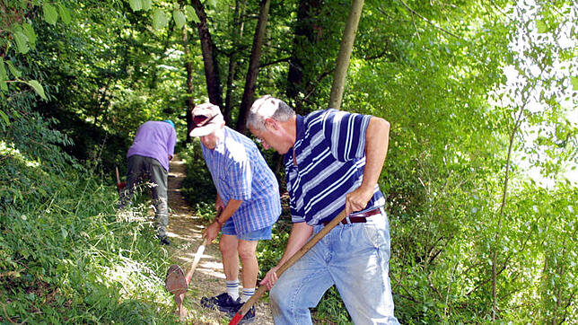 Die Pflege der Wege im Fürstlichen Park ist schon seit vielen Jahren ehrenamtliche Aufgabe des Schwäbischen Albvereins, hier ...