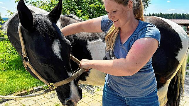 Wo zwickt es Wallach Sam bloß? Osteopathin Katharina Müller-Langhans geht der Sache auf den Grund.