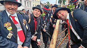 In Bad Säckingen stellen Wälder am Ersten Faißen auf dem Münsterplatz den Narrenbaum. Nach alter Sitte erfolgt dies in reiner Handarbeit ...