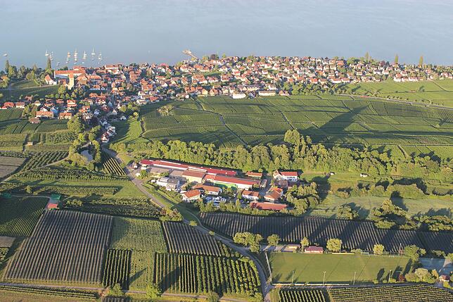 Hagnau