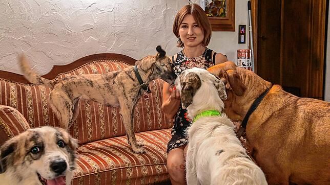 Sie hat etliche Tiere bei sich zu Hause untergebracht: Cornelia Rettich mit ihren eigenen Hunden. Zusätzlich kümmert sich die ...