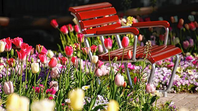 Dieser schöne Platz auf dem Landesgartenschaugelände (hier ein Blick in den Villengarten) bleibt vorerst leer.