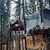 Klima-Aktivisten bauen im Altdorfer Wald im Kreis Ravensburg Baumhäuser und protestieren gegen die Rodung des Waldes zugunsten einer ...