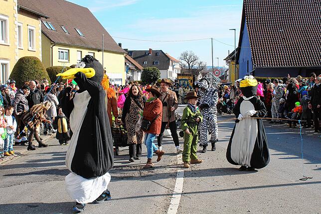 Bild 12: Die schönsten Bilder vom Sonntagsumzug in Nenzingen
