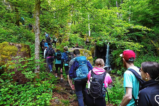 Bild 12: 180 Teilnehmer beim 42-Kilometer-Wandermarathon: Das sind die Bilder