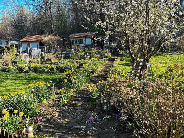 Die Gartensaison beginnt. Viele Kleingärtner freuen sich schon jetzt auf die langen Sommerabende in ihren kleinen Hütten.
