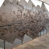 Diese riesige Seirocrinus-Kolonie auf Treibholz befindet sich im Holzmadener Urwelt-Museum Hauff.