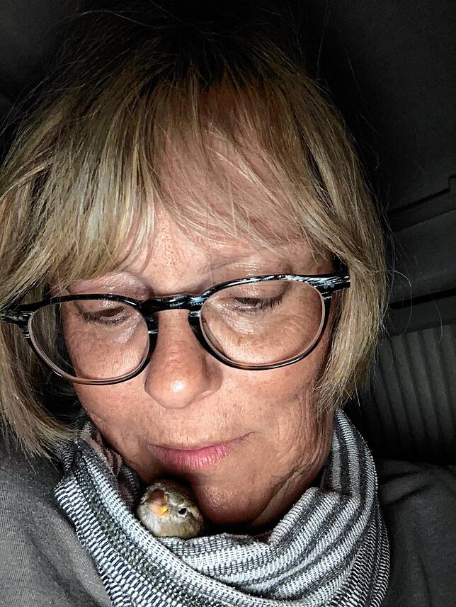 Einer von Spatzis Lieblingsplätzen ist der Schal von Sibylle Baumeister. Besonders nach einem Bad möchte er es dort warm und kuschelig ...