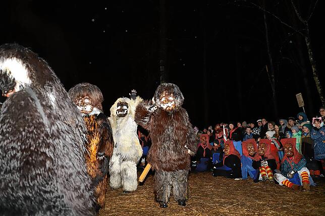 Bild 17: Schneeschreck und Riedhexen tanzen am Feuer &ndash; Alle Bilder vom Fasnachtsauftakt in Wollmatingen