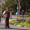 Bild :
