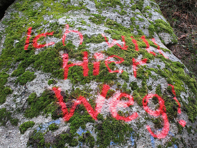 &bdquo;Ich will hier weg&ldquo;: Die Aufschrift auf dem Fels im Albtal.