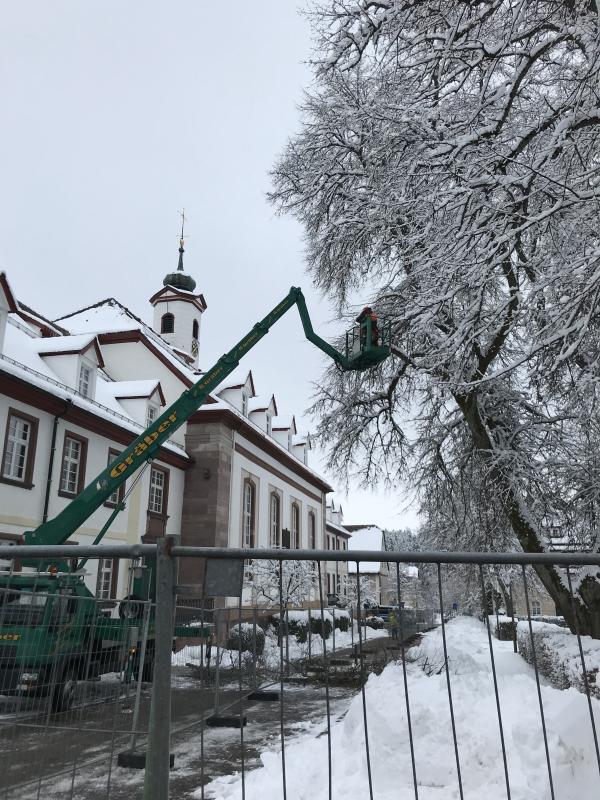 Mit Hilfe von schwerem Gerät werden am Montag die Bäume auf dem historischen Platz gefällt.