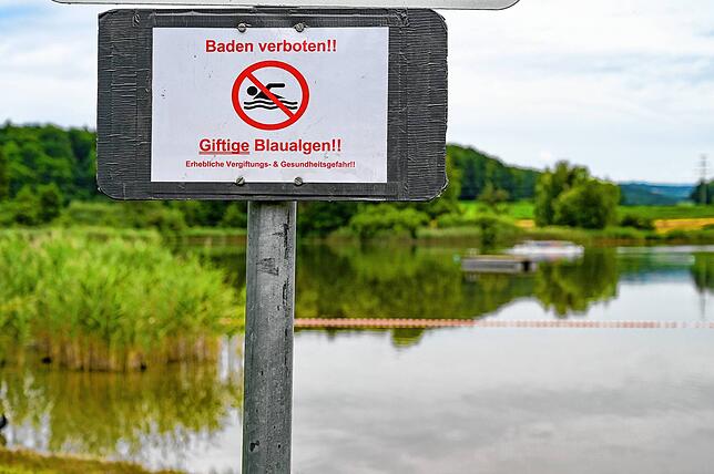 Ein Warnschild gegen Blaualgen am Böhringer See: Schwimmer konnten lange Zeit nicht in dem Gewässer baden. Mittlerweile ist das aber ...