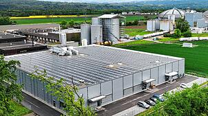 Die Industriehalle, in der die Swiss-Shrimp AG Crevetten produzierte, gehört der Schweizer Salinen AG. Die künftige Nutzung ist noch ...