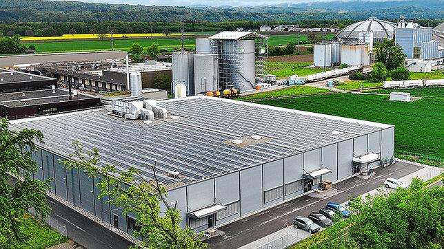 Die Industriehalle, in der die Swiss-Shrimp AG Crevetten produzierte, gehört der Schweizer Salinen AG. Die künftige Nutzung ist noch ...