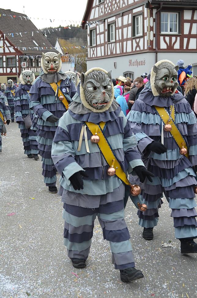 Bild 23: Eigeltinger Narrentage: Der Sonntagsumzug in Bildern (4)