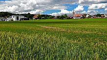 In Verlängerung des bestehenden Wohnbaugebiets Eichwiesen entsteht das neue Wohnbaugebiet Zinsäcker im Inzigkofener Ortsteil Vilsingen.