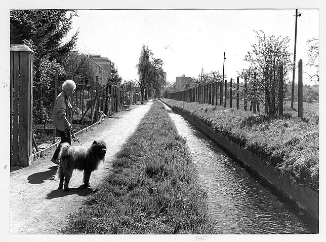 Der Grenzzaun bei Kreuzlingen entlang des Saubachs in den 1980er-Jahren.