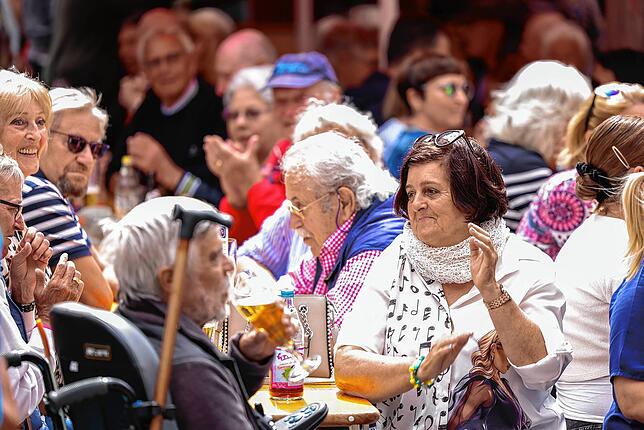 Bild 3: Bilder vom Gässlefescht in Radolfzell