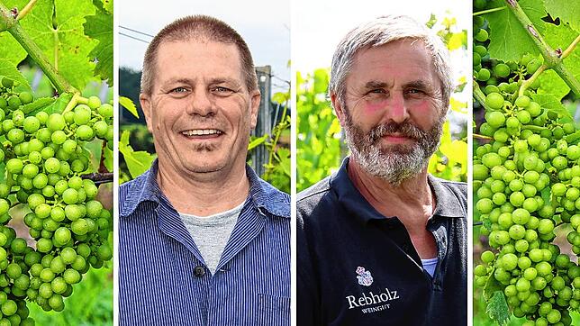 Die Winzer Armin Zolg und Hans Rebholz (von links) sprechen über wetterbedingte Herausforderungen im Weinanbau.