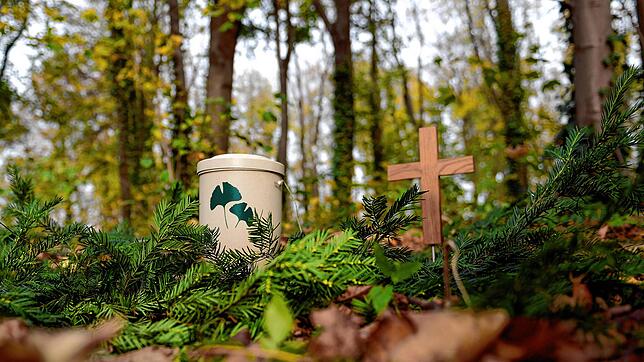 Eine Urne und ein Holzkreuz stehen in einem Friedwald (Symbolbild). Für immer mehr Menschen ist der Wald der beste Platz für die letzte ...