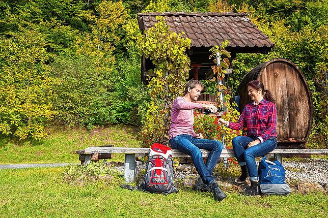 In Gailingen wird auf rund 25 Hektar Rebfläche Wein angebaut.