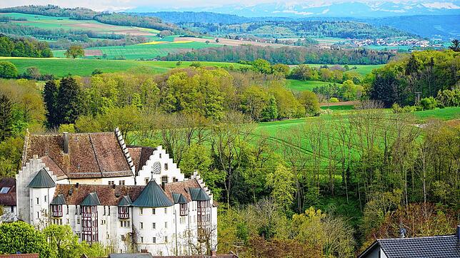 Das Schloss Blumenfeld kann sich über eine hohe Fördersumme vom Ministerium für Landesentwicklung und Wohnen freuen.