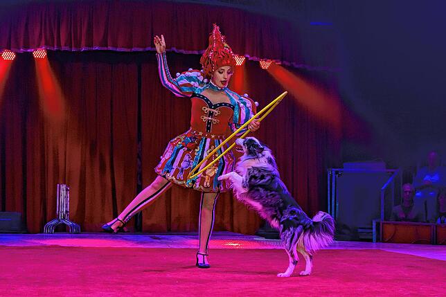 Bild 5: Zirkus ohne wilde Tiere: Überzeugt das Spektakel mit Licht- und Wasser-Shows?