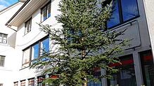Die Christbaum-Wunschaktion der Stadt Bonndorf hat begonnen. Sie findet eine große Resonanz. Bild: Stefan Limberger-Andris