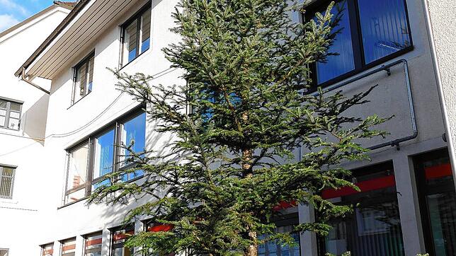 Die Christbaum-Wunschaktion der Stadt Bonndorf hat begonnen. Sie findet eine große Resonanz. Bild: Stefan Limberger-Andris