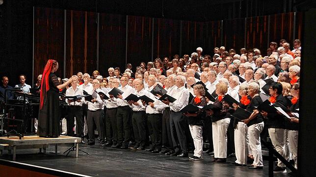 Der Platz auf der Bühne der Stadthalle reicht für die etwa 350 Sängerinnen und Sänger gerade so aus: Mit ihrem gemeinsamen Konzert unter ...