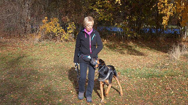Ulrike Hitschler kümmert sich um Doberman Spike und geht regelmäßig mit ihm Gassi.