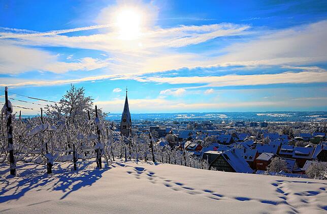 Blick über den Weinhang mit den schneebedeckten Reben über Wollmatingen hinweg in Richtung Konstanz und Schweiz. Links der Turm der ...