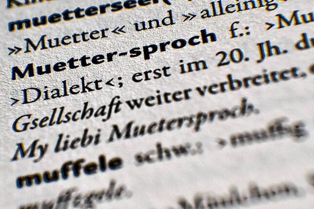 Trotz Bemühungen der Dialekt-Fans: Alemannisch wird am Bodensee von immer weniger Menschen „gschwätzt“.