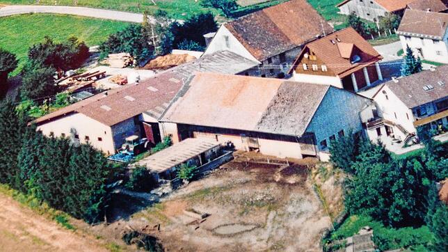 1997: Das landwirtschaftliche Anwesen der Familie Jehle in Unterhomberg. Der Schweinestall (links) ist heute Teil des Clubheims und wo ...
