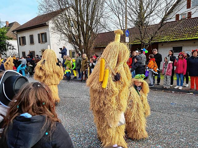Bild 3: Spaß beim VHN-Narrentreffen: Bilder vom Umzug (1)