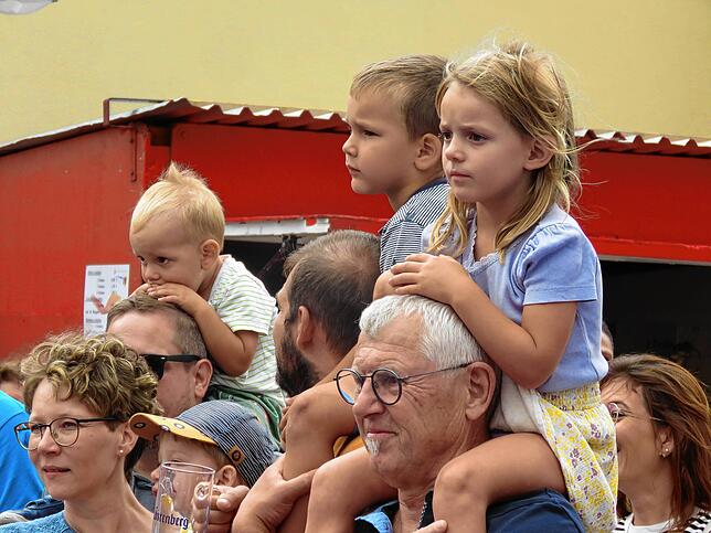 Bild 8: Geisinger in Partylaune: Straßenfest lockt tausende Besucher an