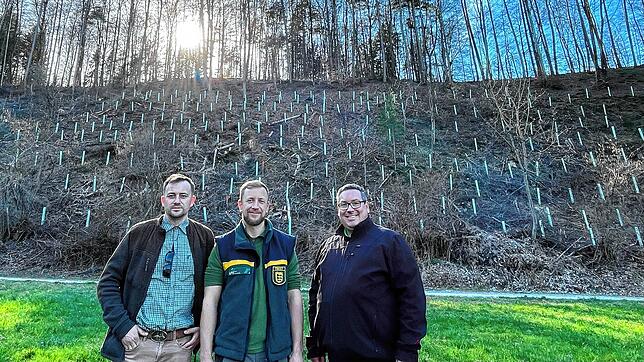 Freue sich über die gepflanzten Bäume (von links): Jagdpächter Simon Langanki, Förster David Borho und Bürgermeister Patrick Krauss.