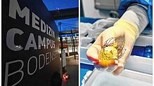 Am Medizin Campus Bodensee können sogenannte Tavi-Operationen an der Herzklappe, bei der ein Implantat (rechts) eingesetzt wird, nicht ...