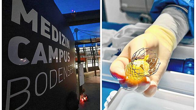 Am Medizin Campus Bodensee können sogenannte Tavi-Operationen an der Herzklappe, bei der ein Implantat (rechts) eingesetzt wird, nicht ...