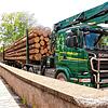 Ein Langholztransporter fährt über die Bregbrücke in Wolterdingen. Man könne dieses Denkmal nicht erhalten, sagt Regierungspräsidentin ...
