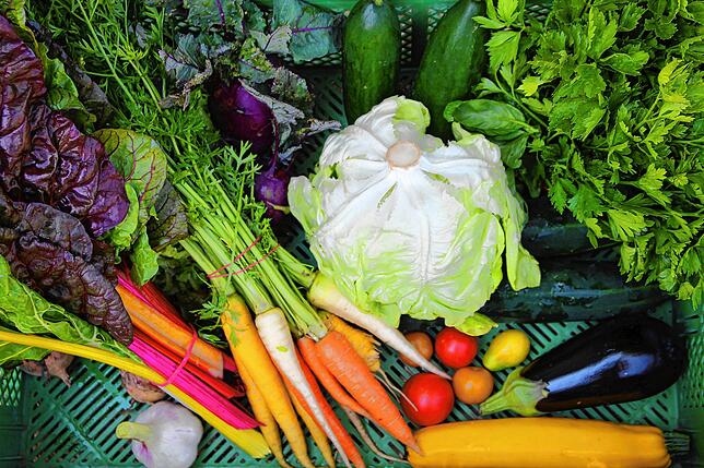 Bunt und erntefrisch: Die Anteilseigner der Solidarischen Landwirtschaft holen jeweils freitags ihren saisonalen Gemüseanteil auf dem ...