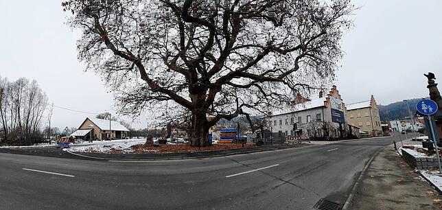 Ein Panoramabild des Brauerei-Areals von der gegenüberliegenden Straßenseite aus.